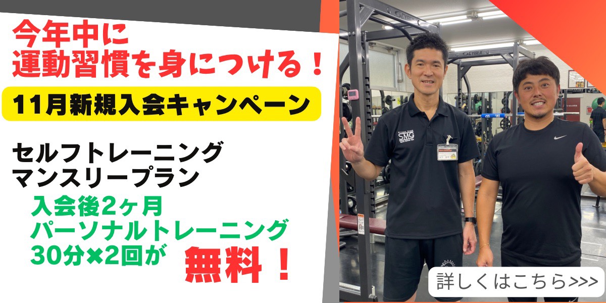 11月キャンペーン